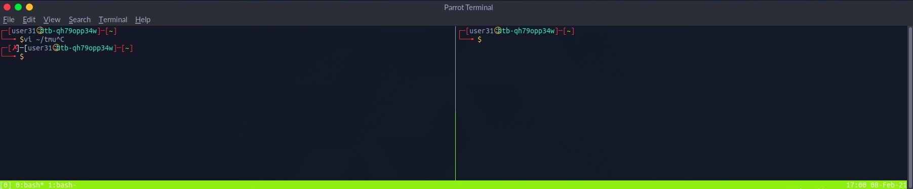 getting_started_tmux_3