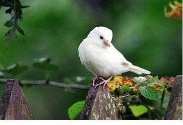 image-20240907202000174